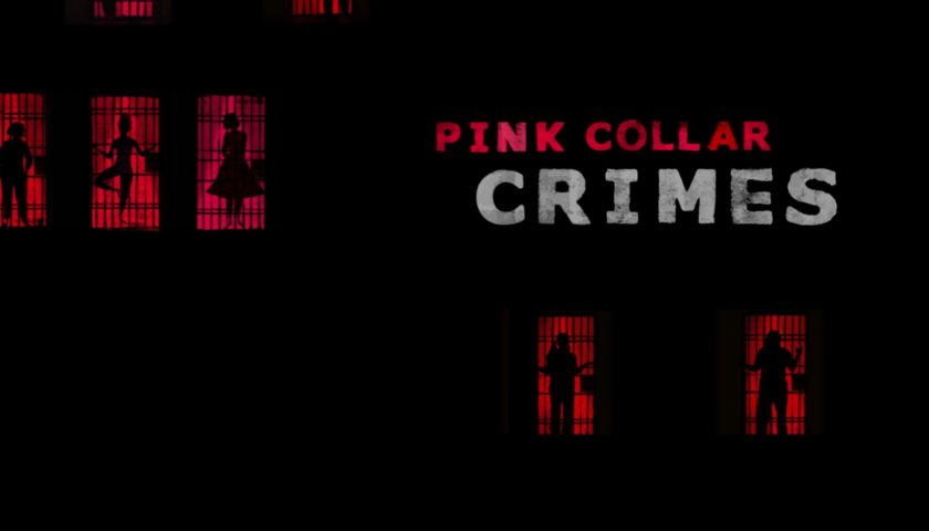  Pink Collar Crimes Review 2018 Tv Show