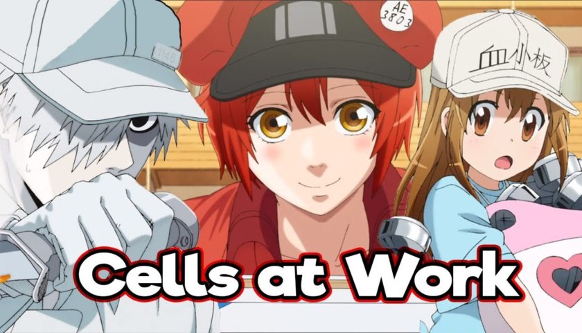 Cells at Work! Review 2018 Tv Show