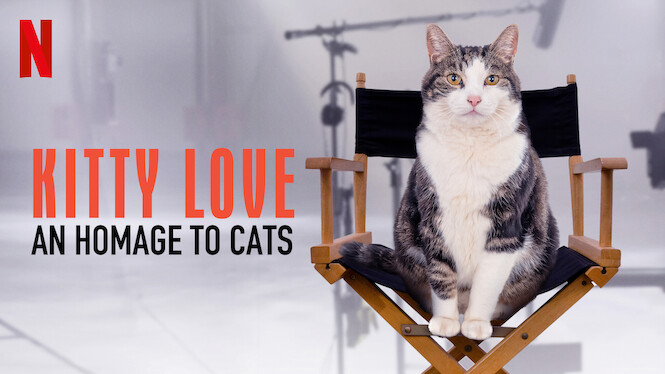 Kitty Love An Homage to Cats review